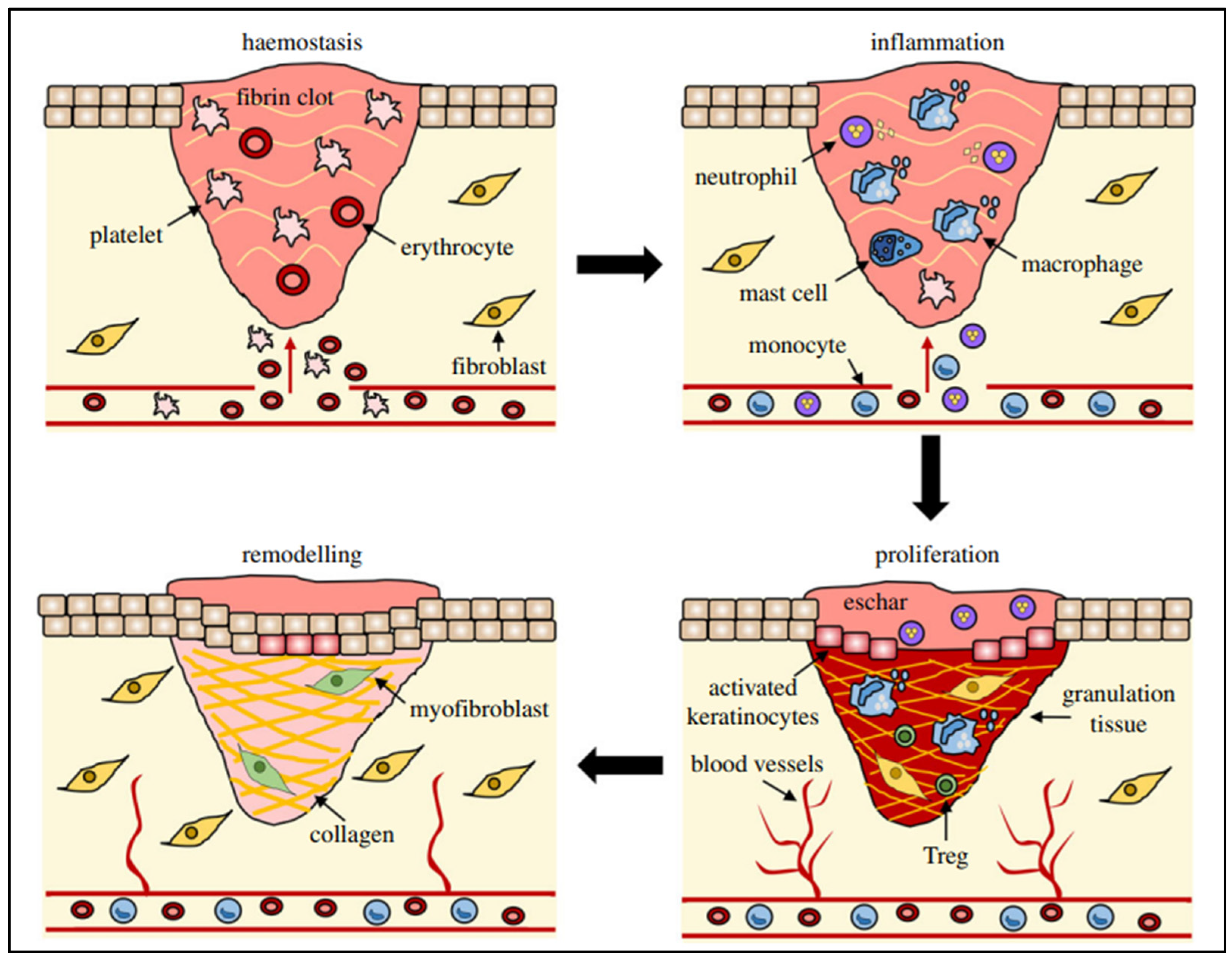 Pharmaceutics 17 00855 g001