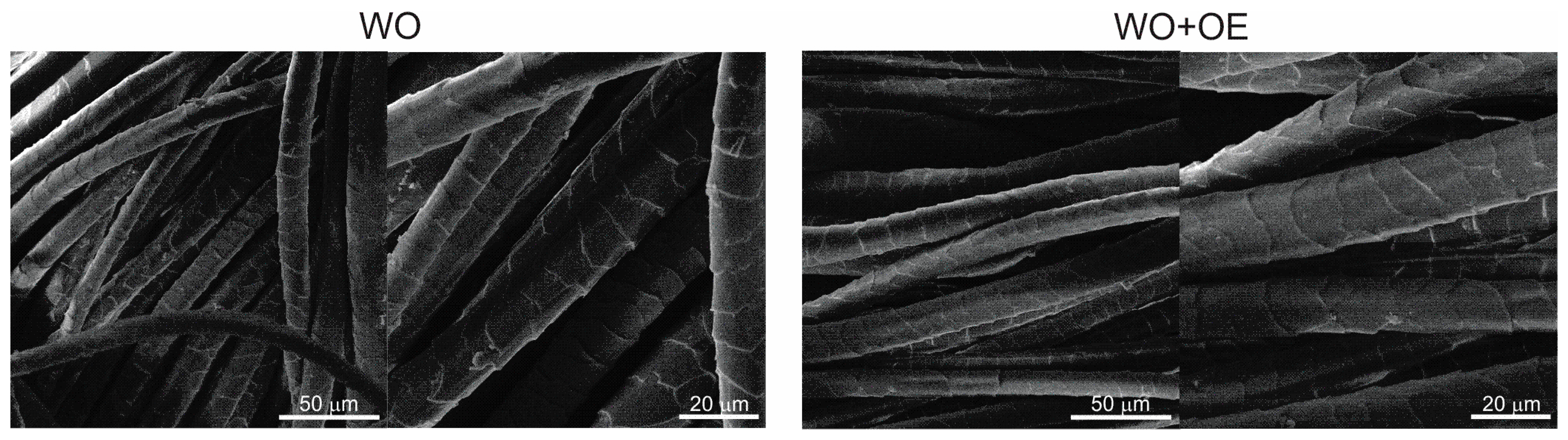 Pharmaceutics 17 00856 g004