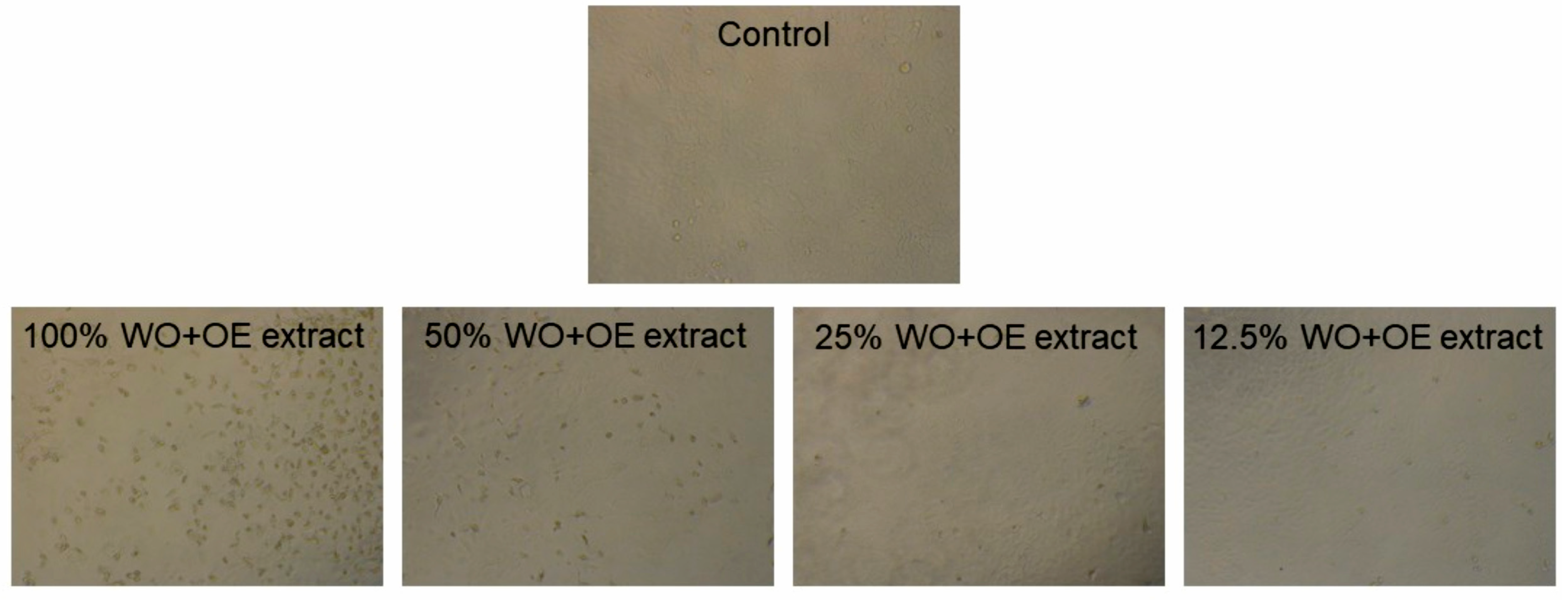 Pharmaceutics 17 00856 g007