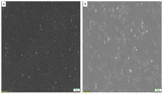 Pharmaceutics 17 00860 g002