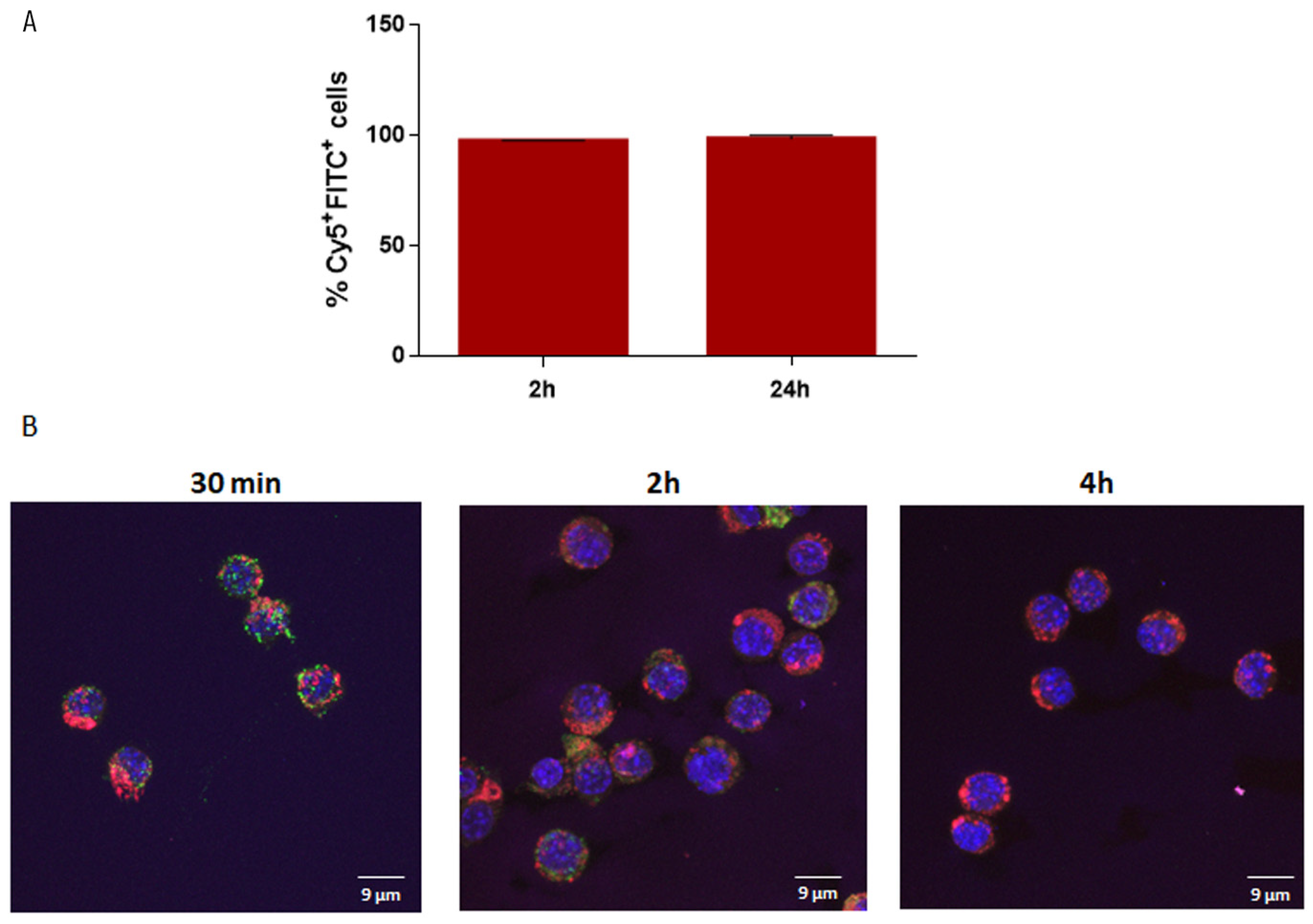 Pharmaceutics 17 00870 g010