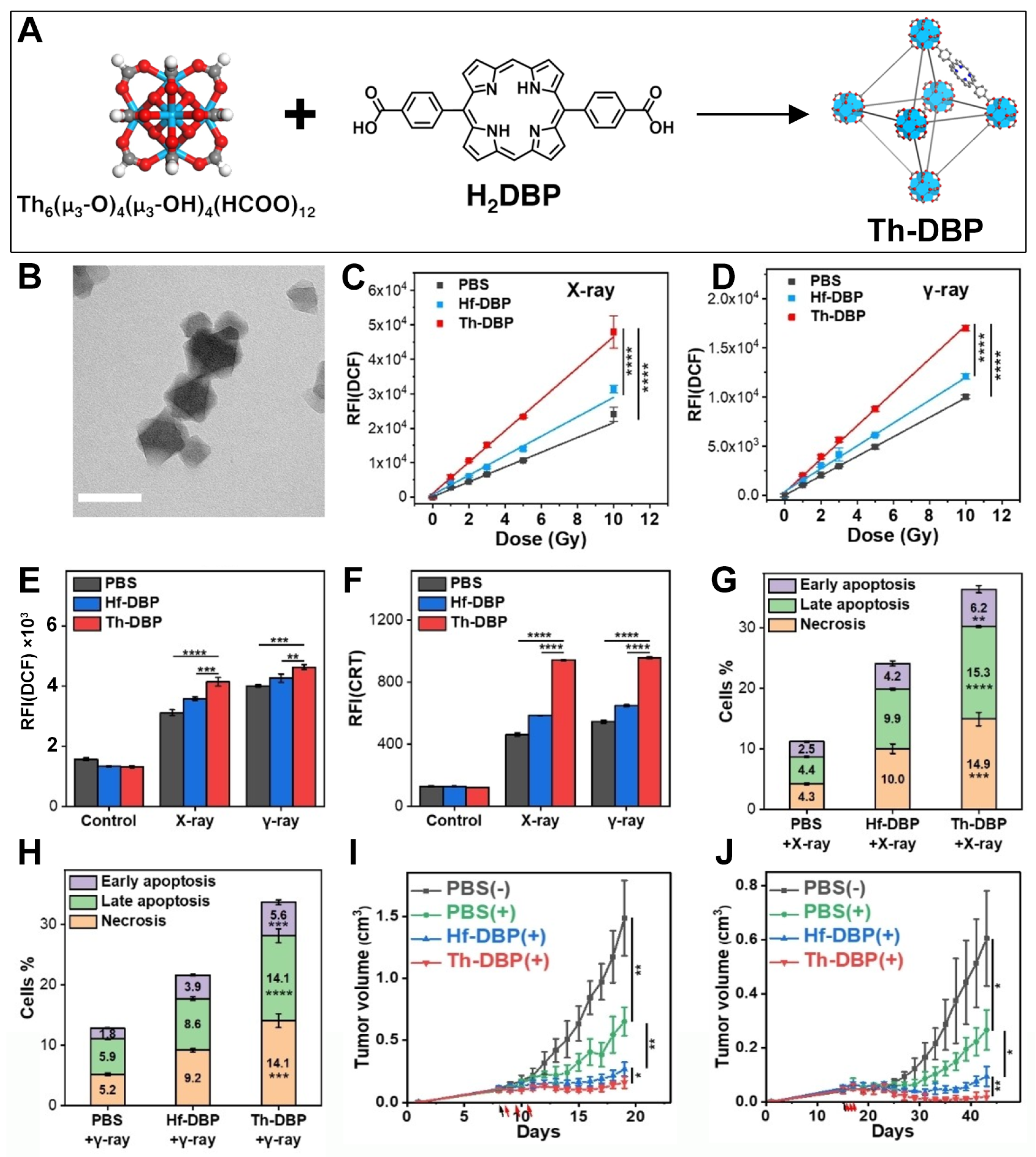 Pharmaceutics 17 00883 g005