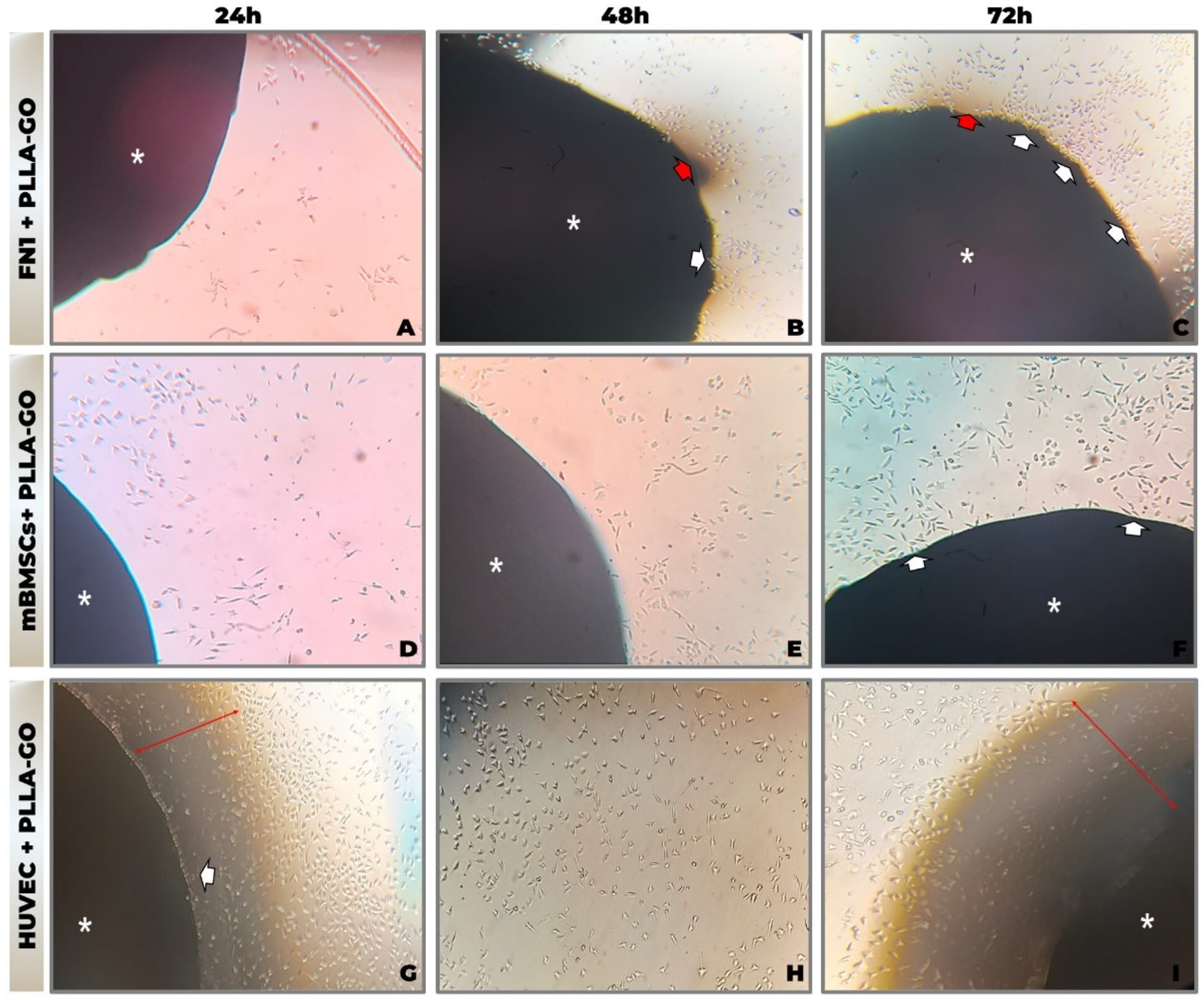 Pharmaceutics 17 00892 g001