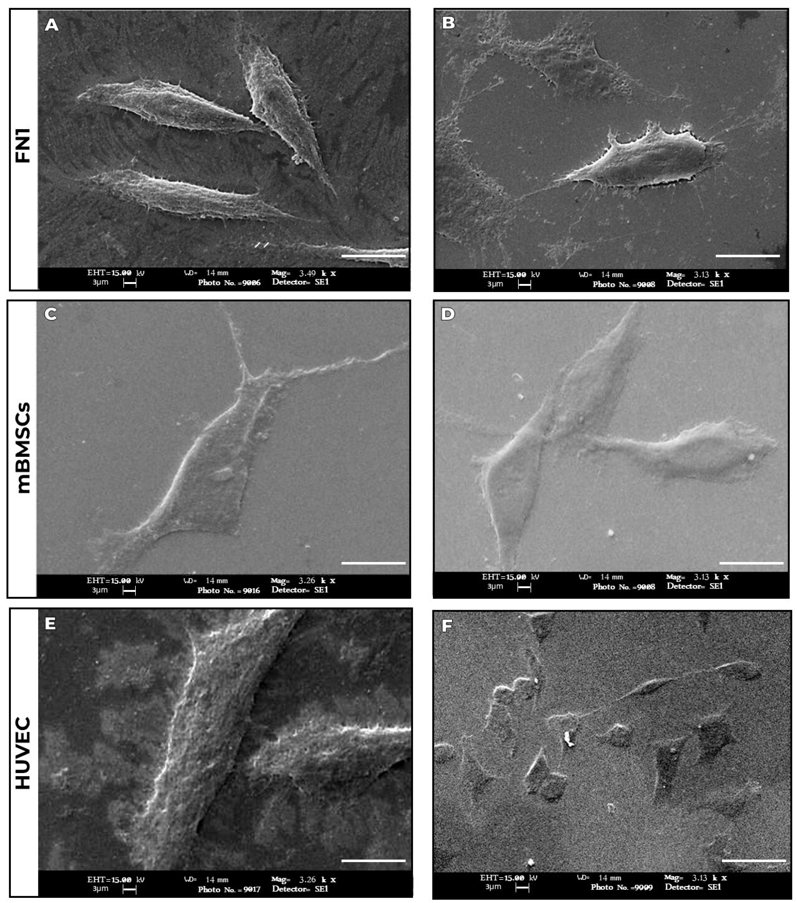 Pharmaceutics 17 00892 g002