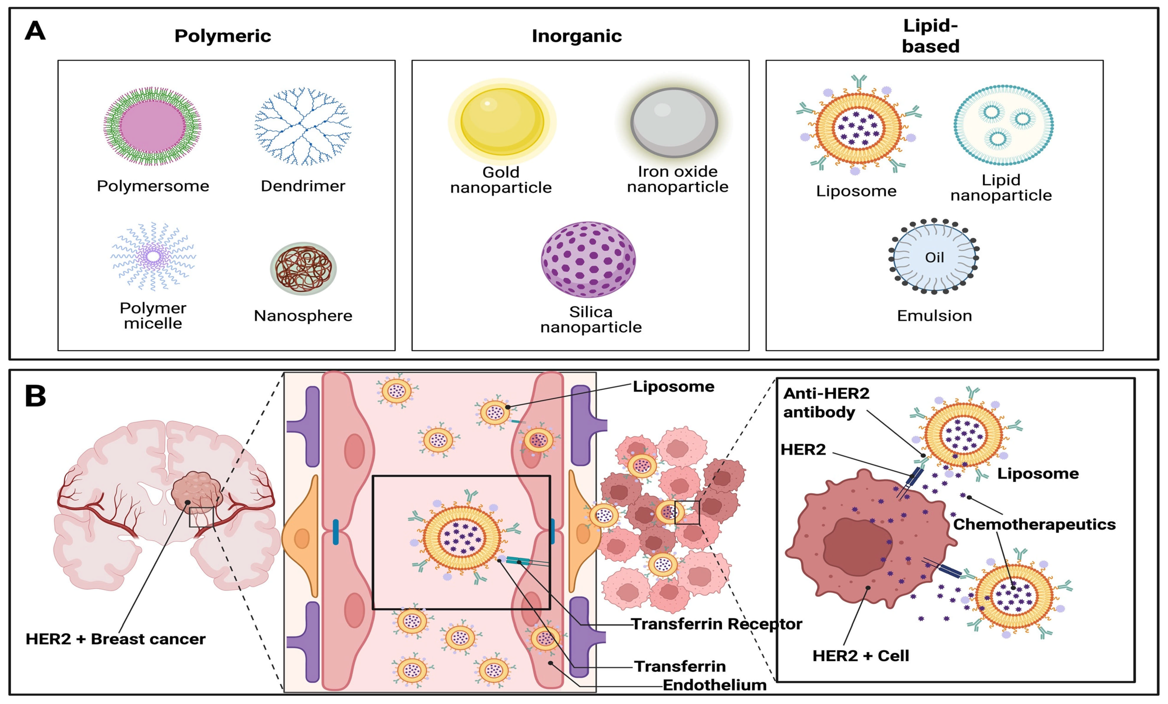 Pharmaceutics 17 00899 g001 Pharmaceutics 17 00899 g001