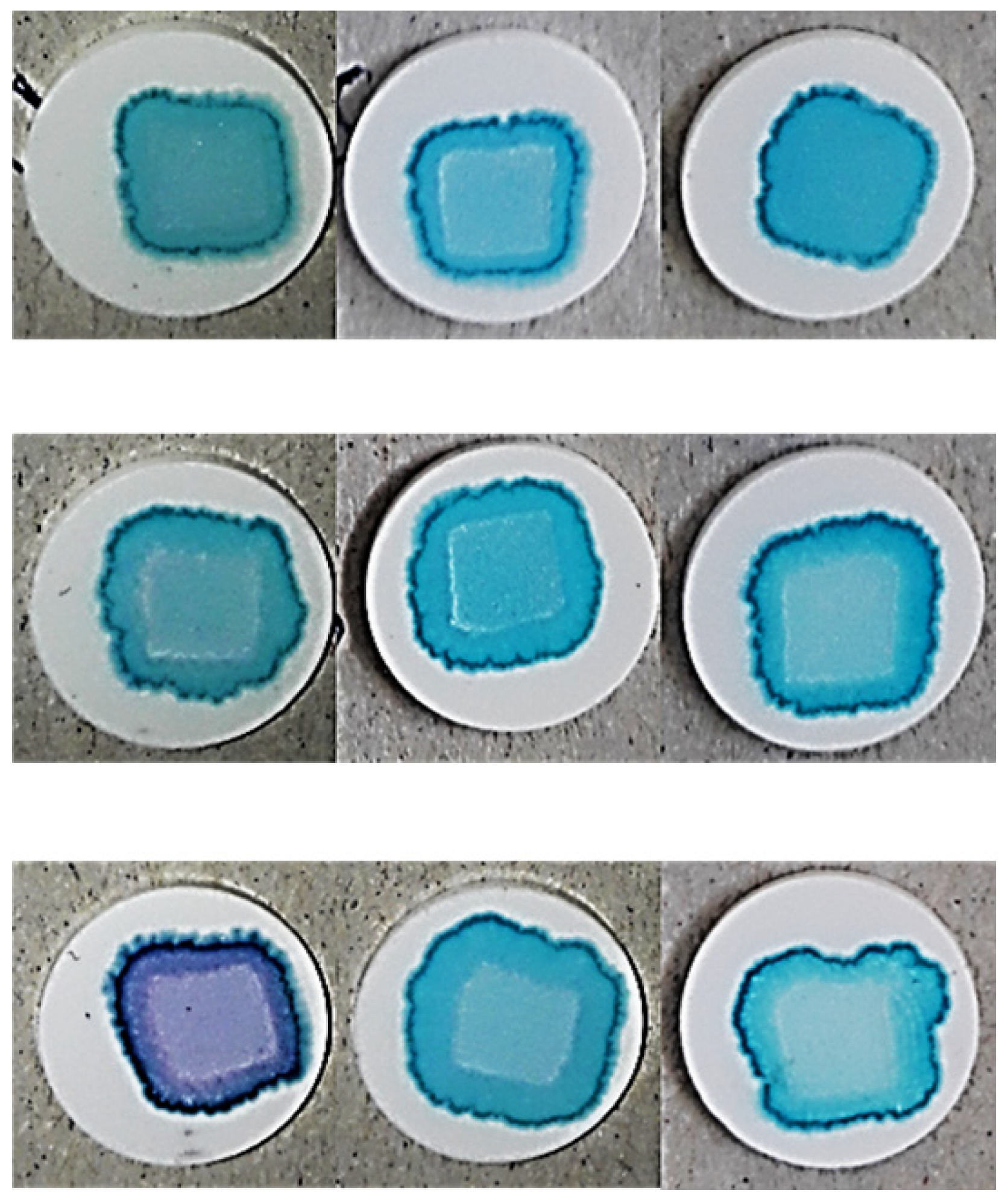 Pharmaceutics 17 00908 i001