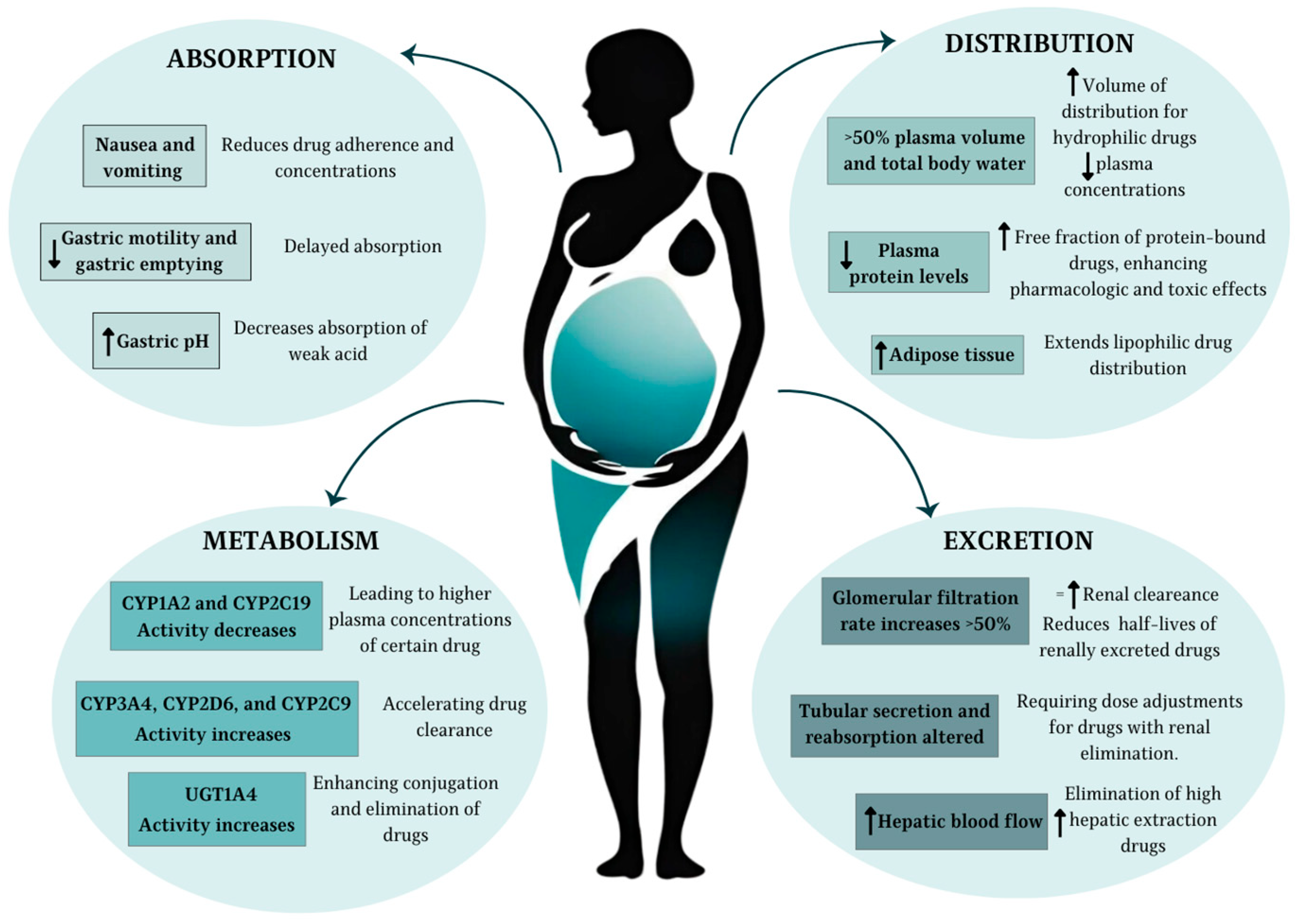 Pharmaceutics 17 00913 g001