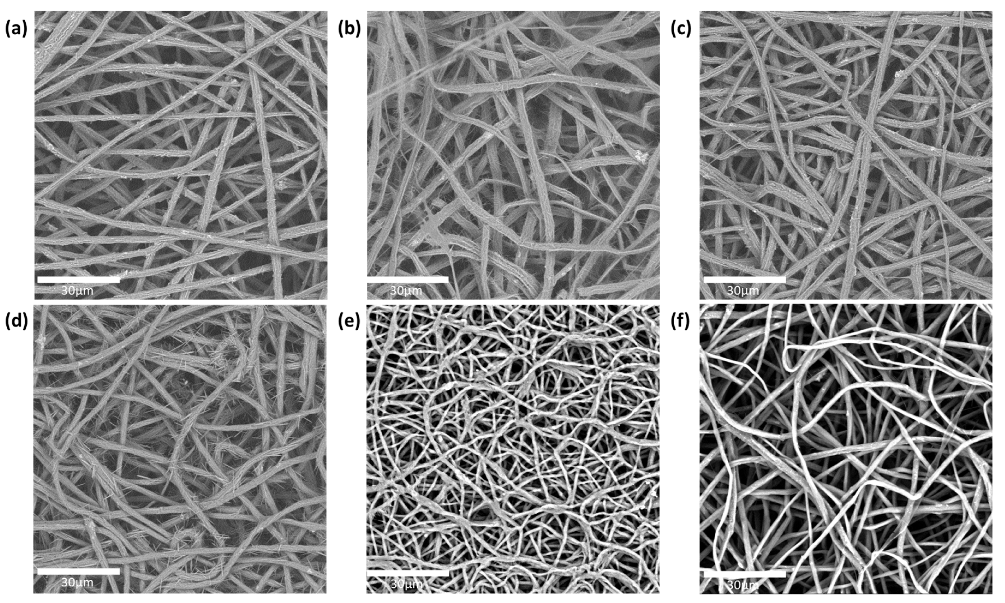 Pharmaceutics 17 00921 g002