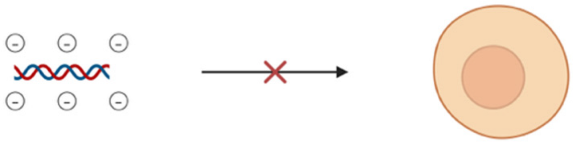 Pharmaceutics 17 00930 i001