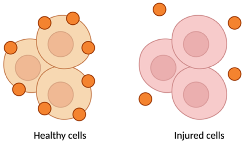 Pharmaceutics 17 00930 i003