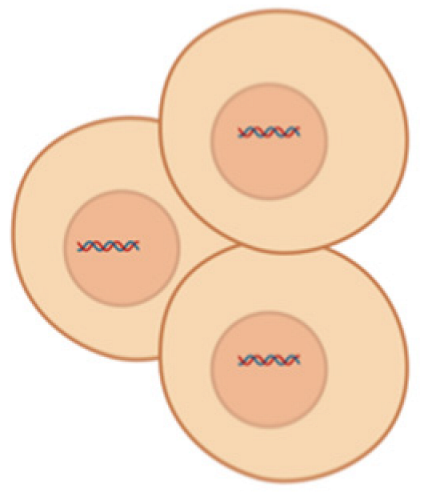 Pharmaceutics 17 00930 i005