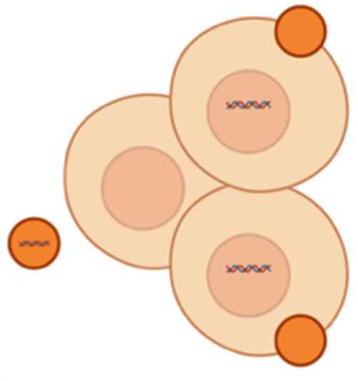 Pharmaceutics 17 00930 i006