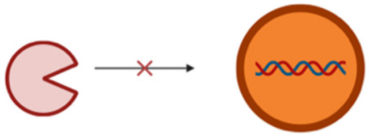Pharmaceutics 17 00930 i008