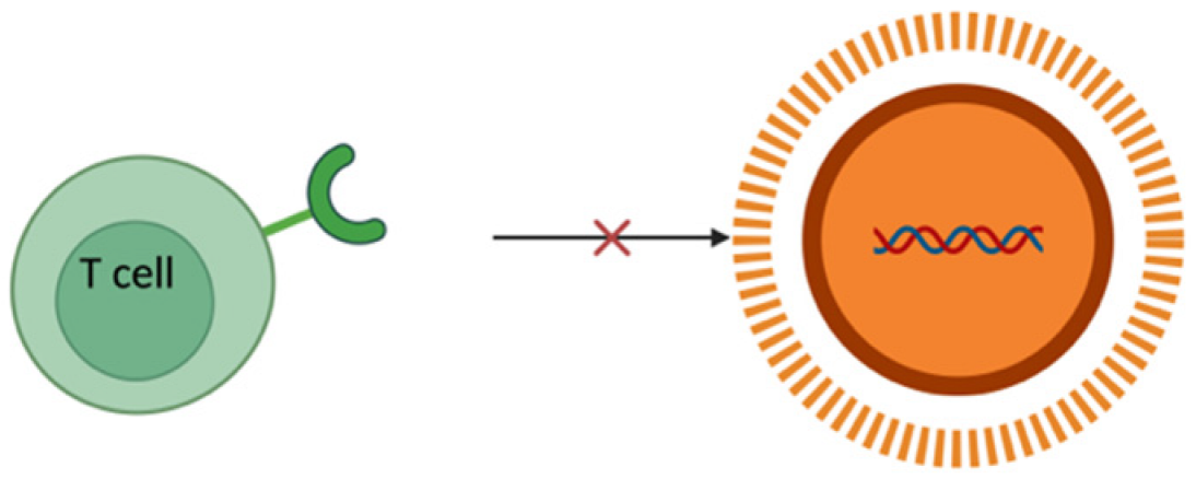 Pharmaceutics 17 00930 i010