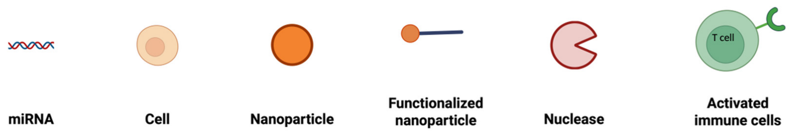 Pharmaceutics 17 00930 i011