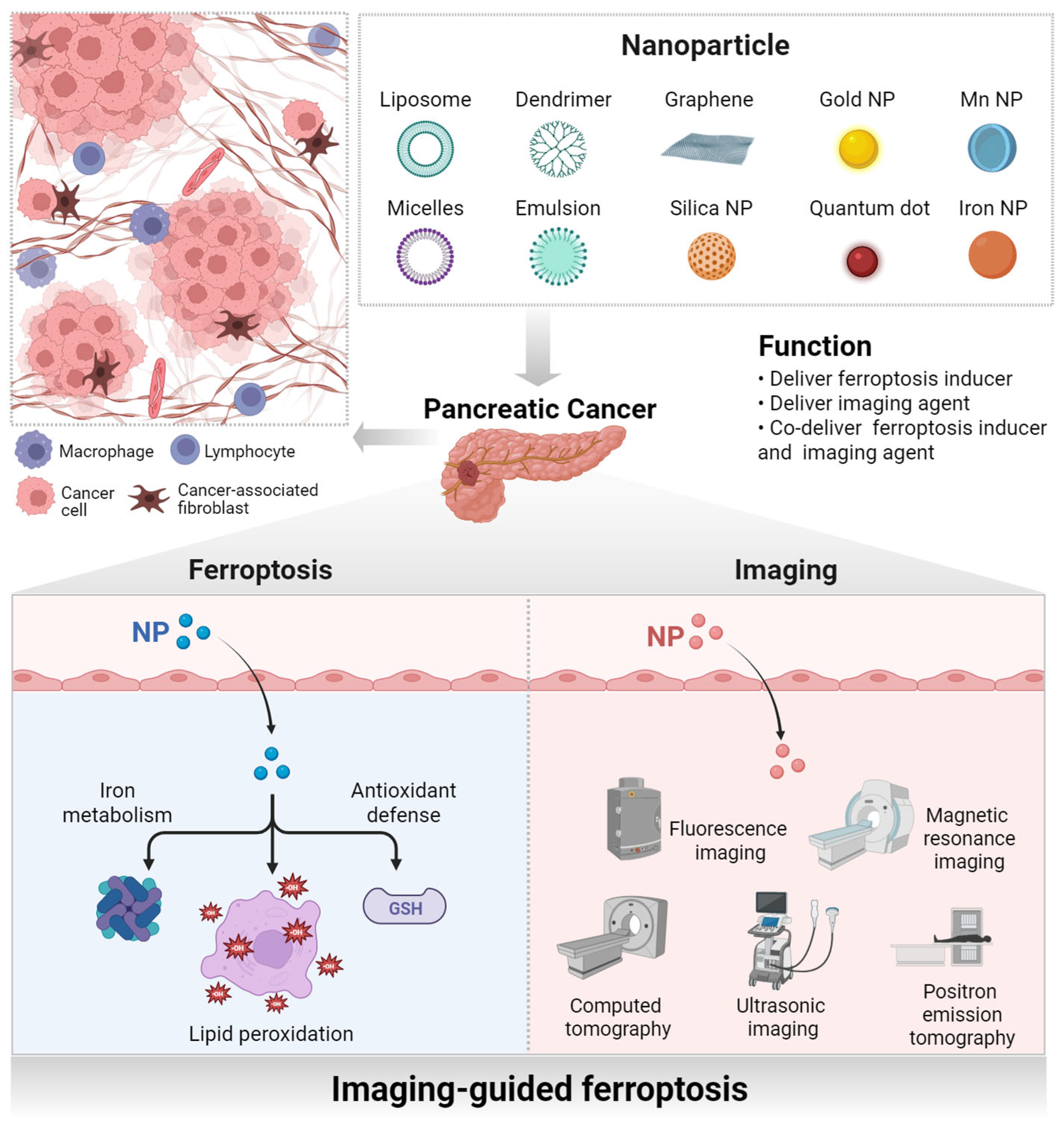 Pharmaceutics 17 00937 g001
