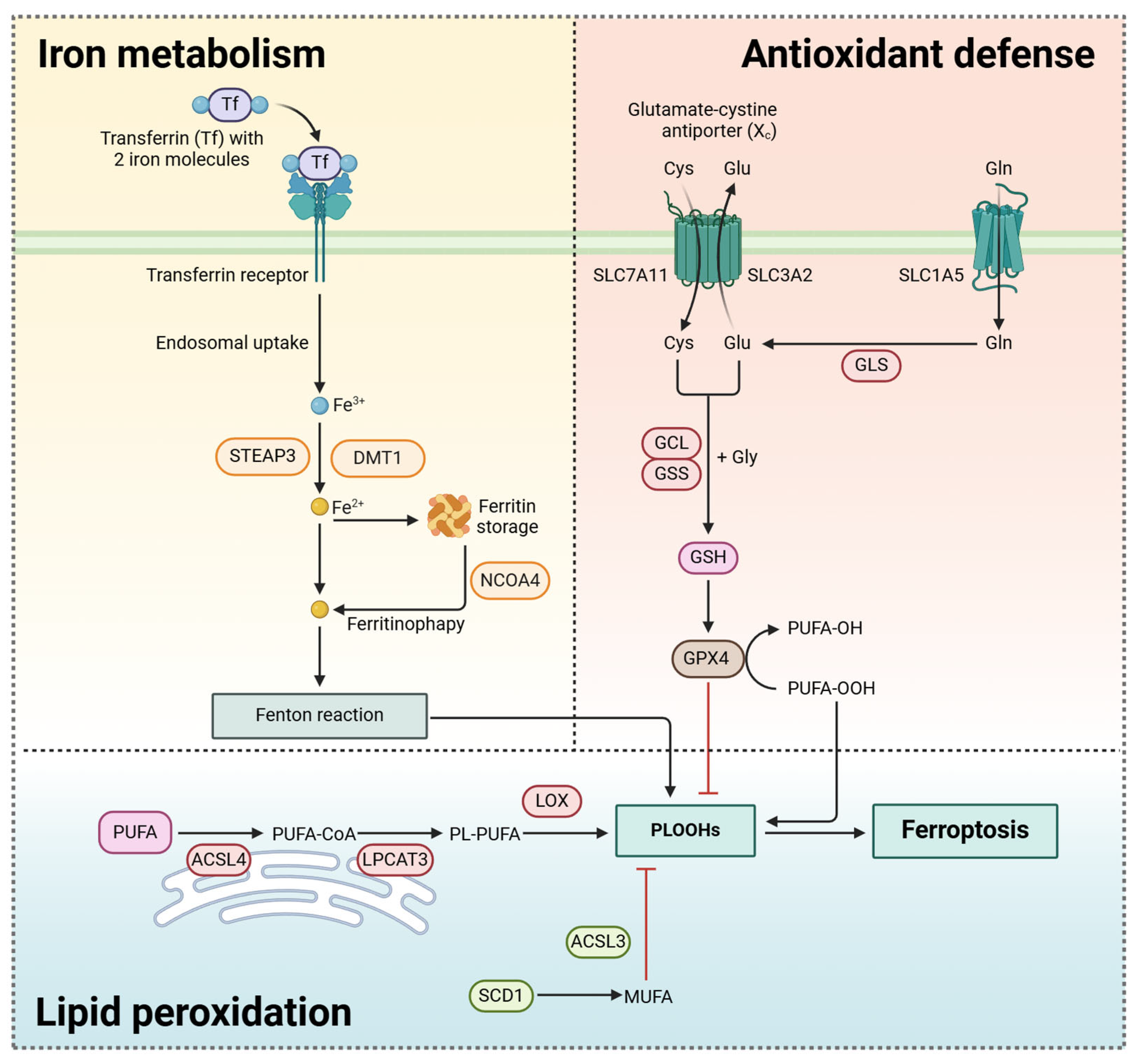 Pharmaceutics 17 00937 g002