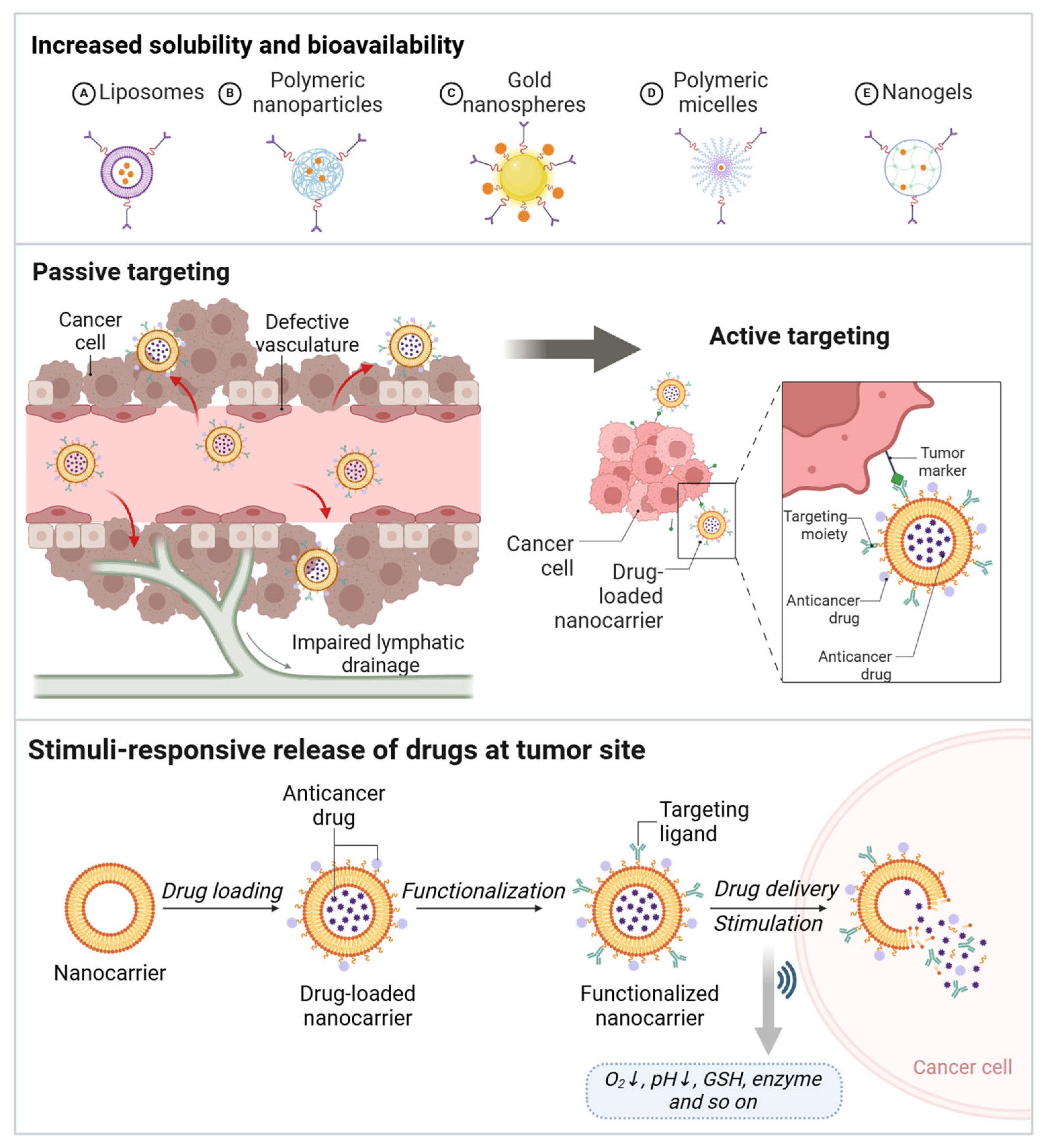 Pharmaceutics 17 00937 g003