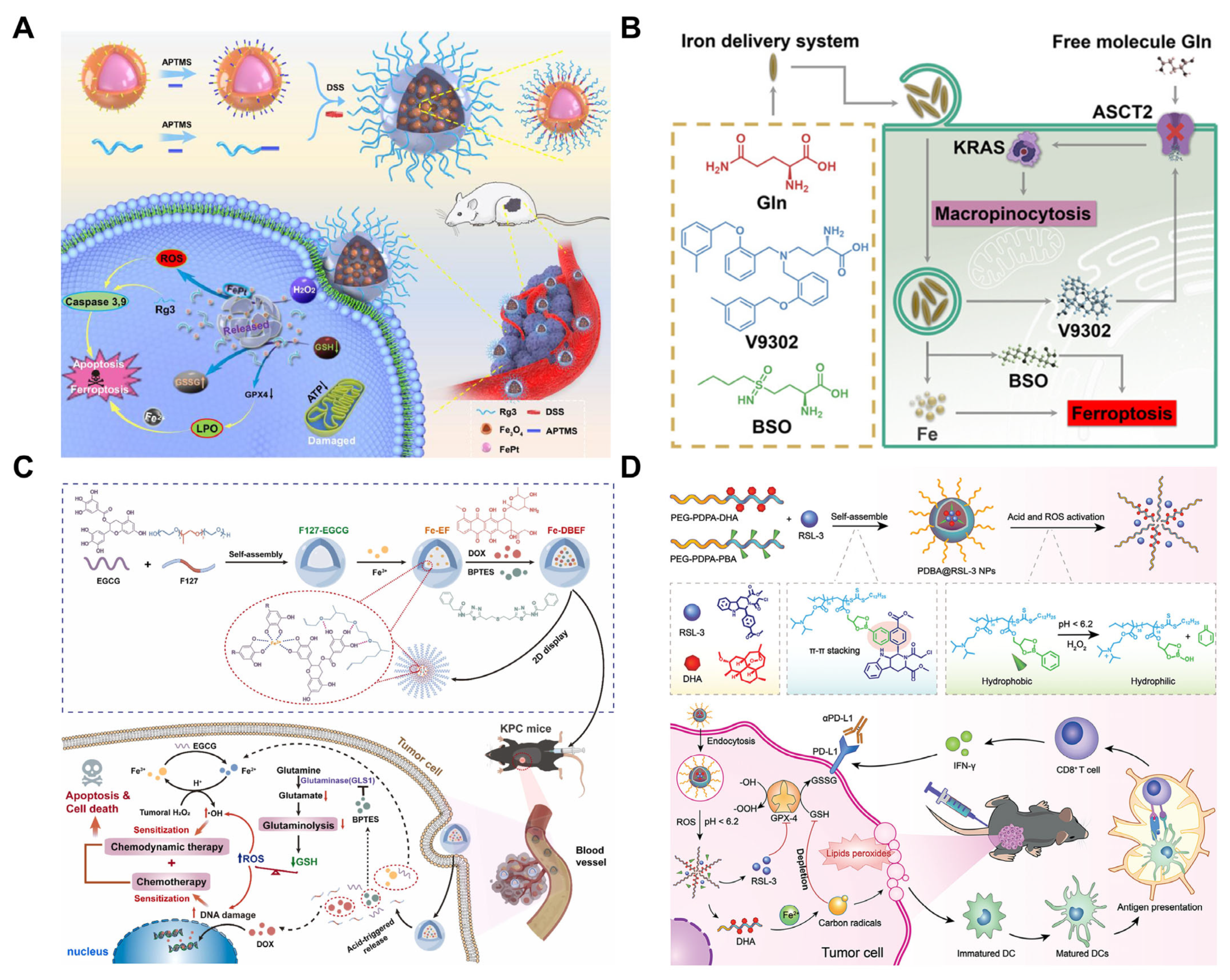 Pharmaceutics 17 00937 g004