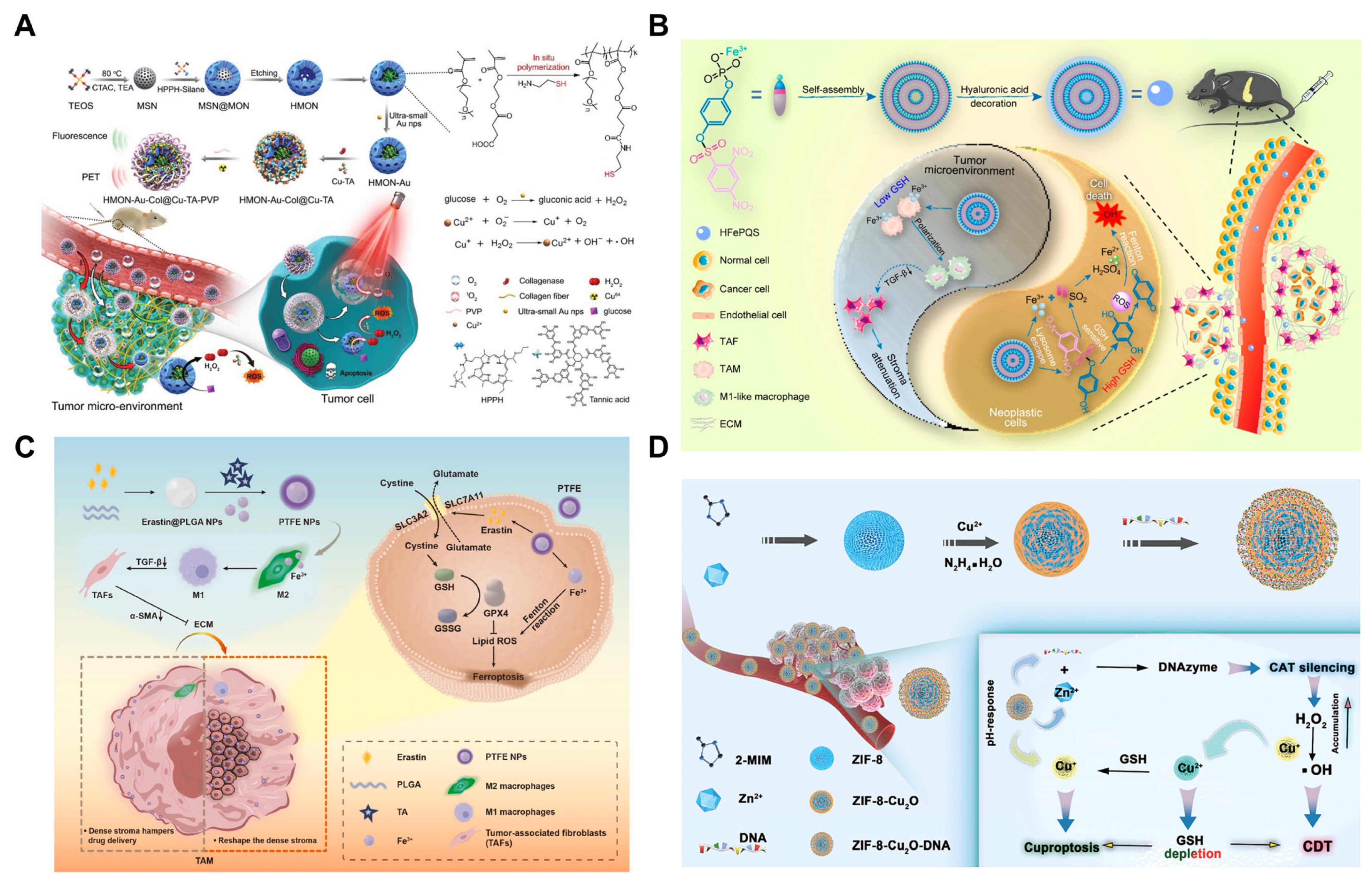 Pharmaceutics 17 00937 g005