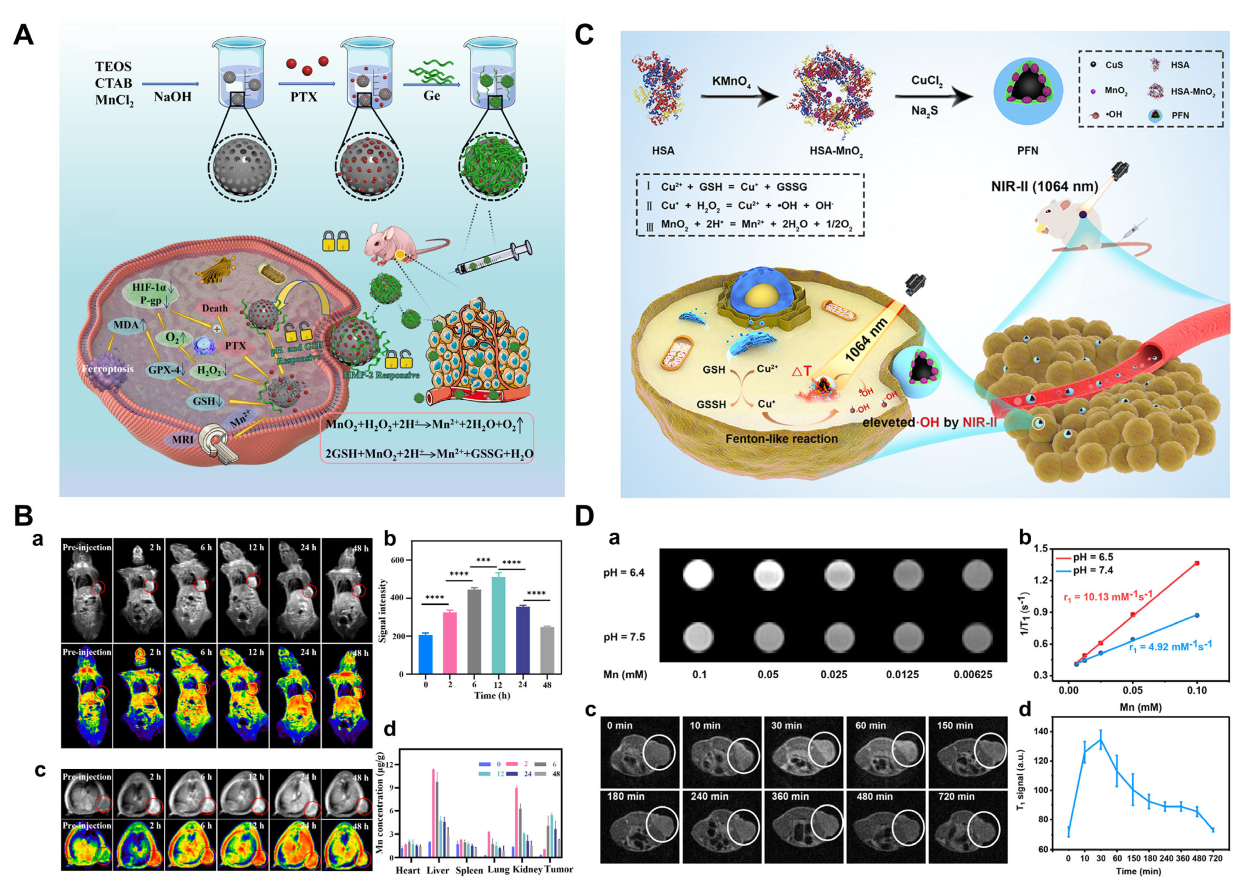 Pharmaceutics 17 00937 g007