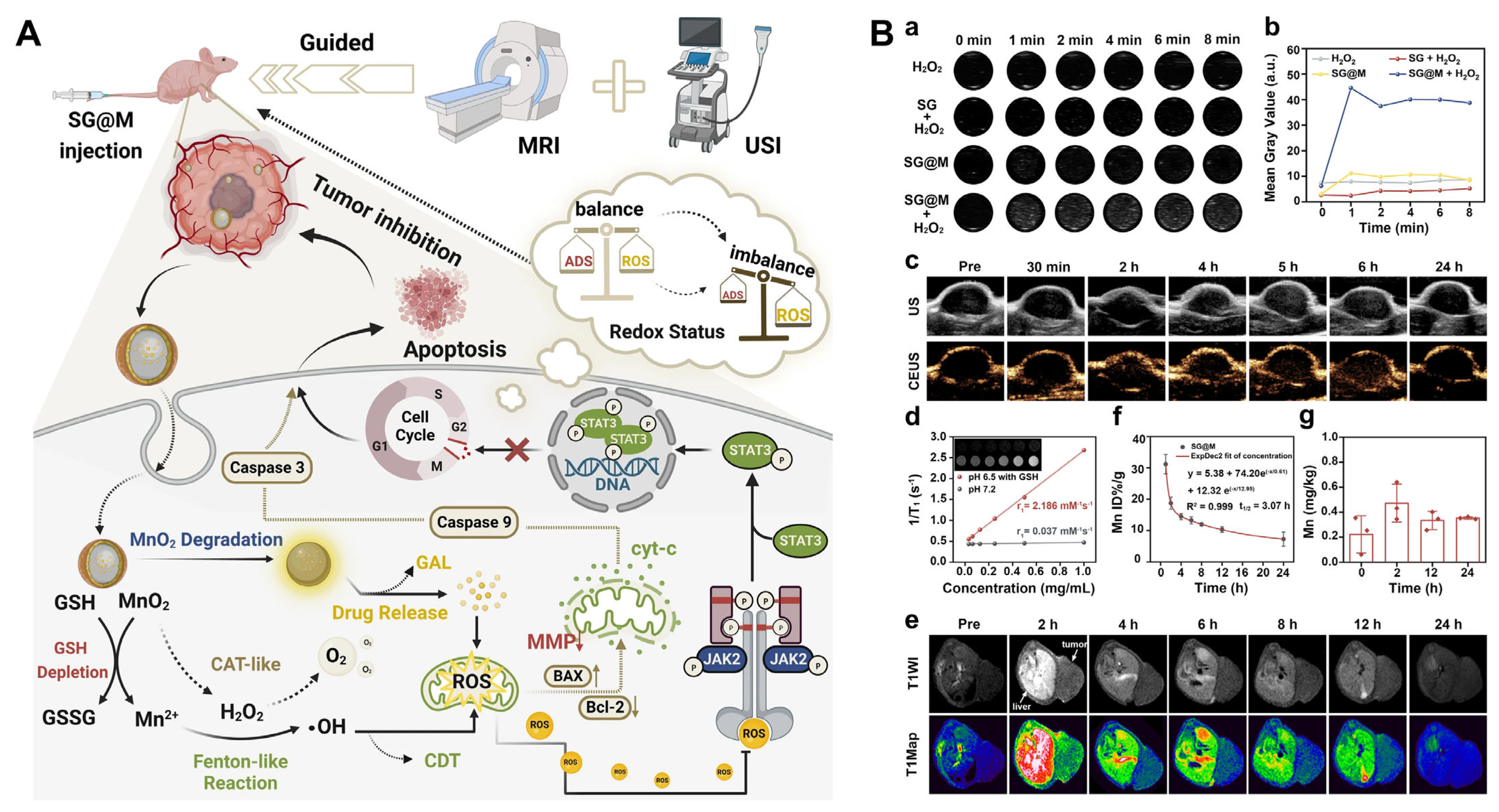 Pharmaceutics 17 00937 g008