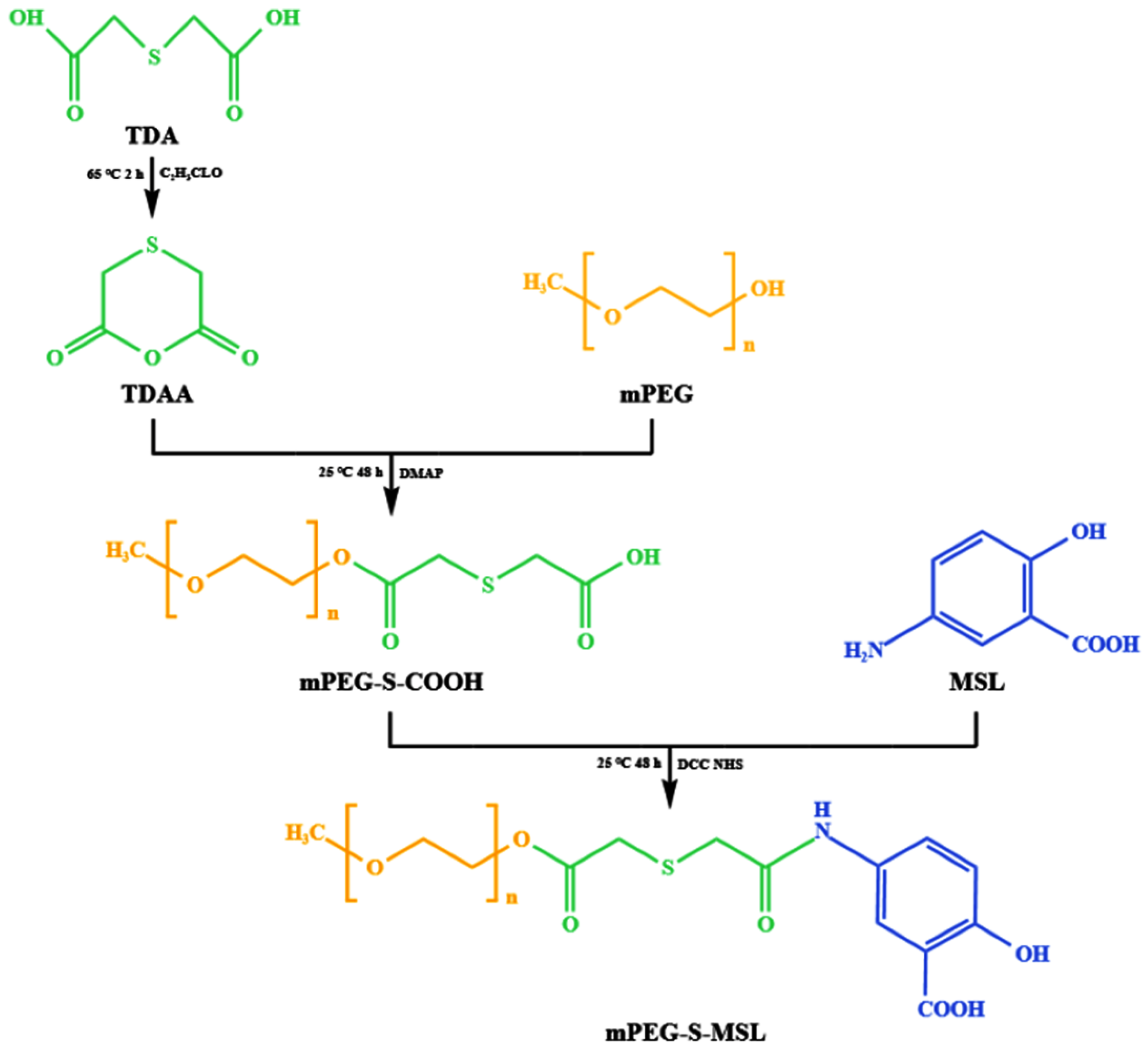 Pharmaceutics 17 00940 g002 Pharmaceutics 17 00940 g002