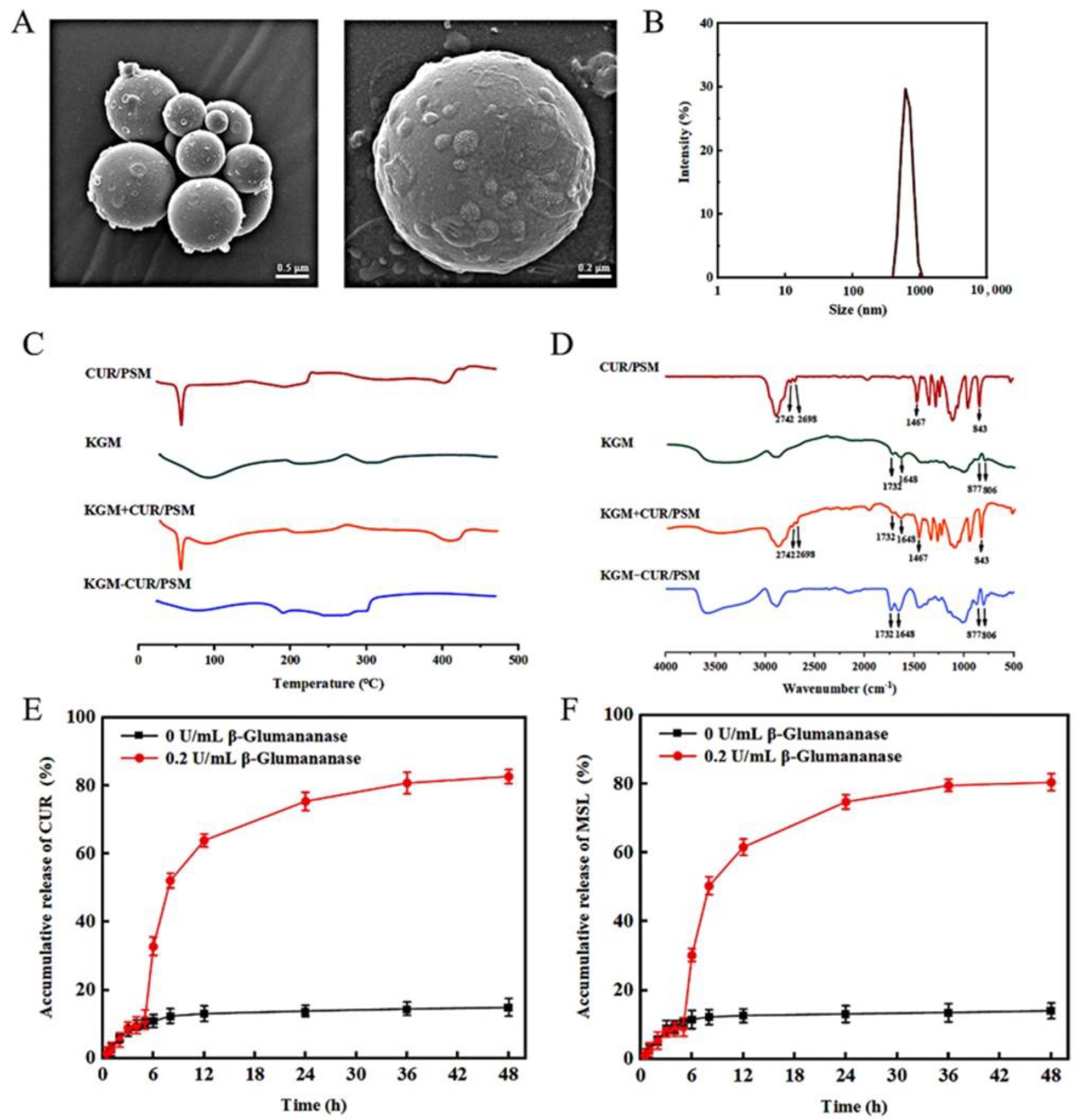 Pharmaceutics 17 00940 g009 Pharmaceutics 17 00940 g009