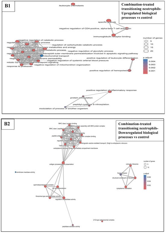 Pharmaceutics 17 00949 g0a8b