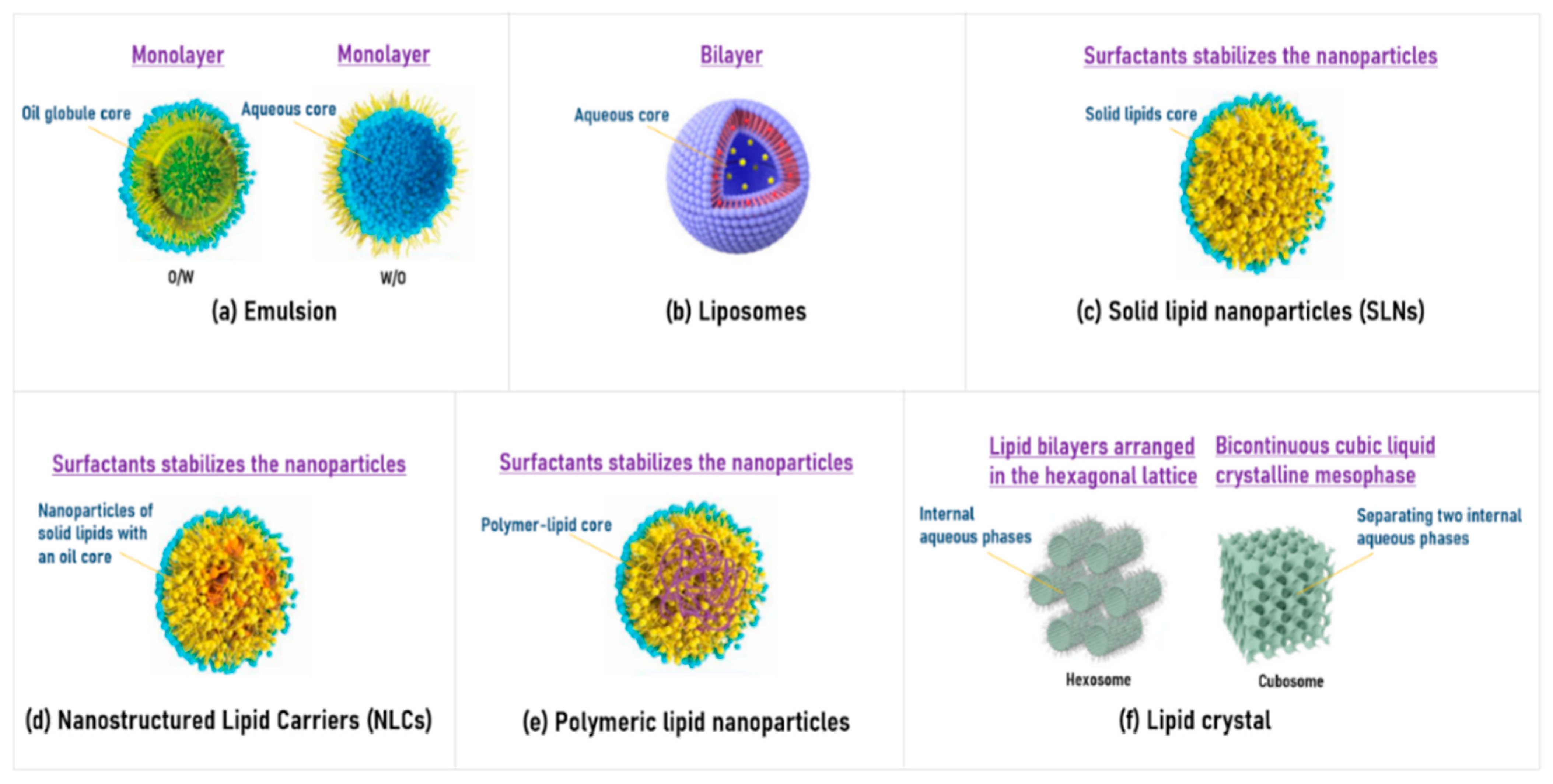 Pharmaceutics 17 00958 g003