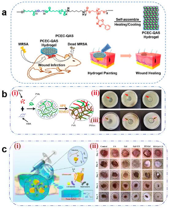 Pharmaceutics 17 00976 g001