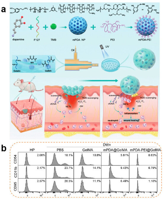 Pharmaceutics 17 00976 g002