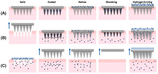 Pharmaceutics 17 00976 g004