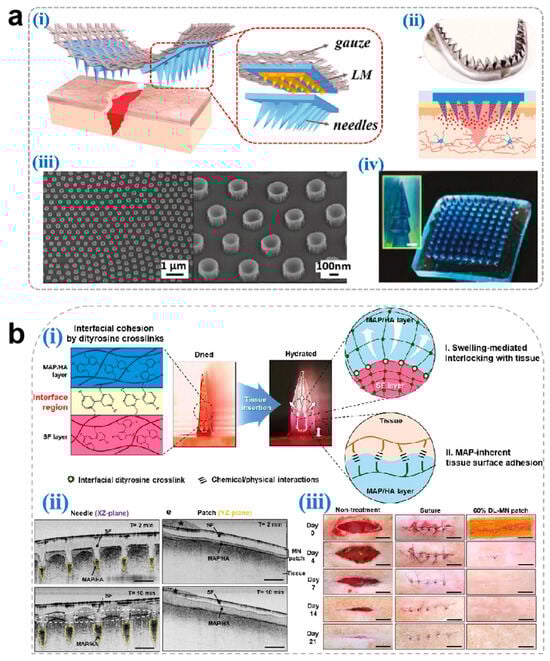 Pharmaceutics 17 00976 g005a Pharmaceutics 17 00976 g005a