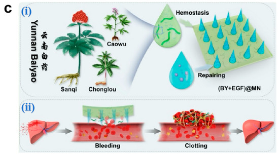 Pharmaceutics 17 00976 g005b