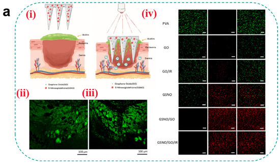 Pharmaceutics 17 00976 g006a Pharmaceutics 17 00976 g006a