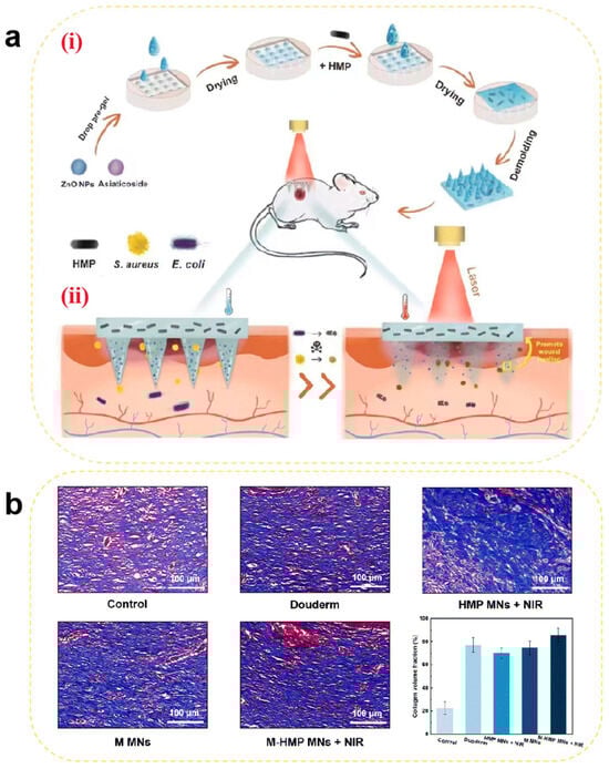 Pharmaceutics 17 00976 g007