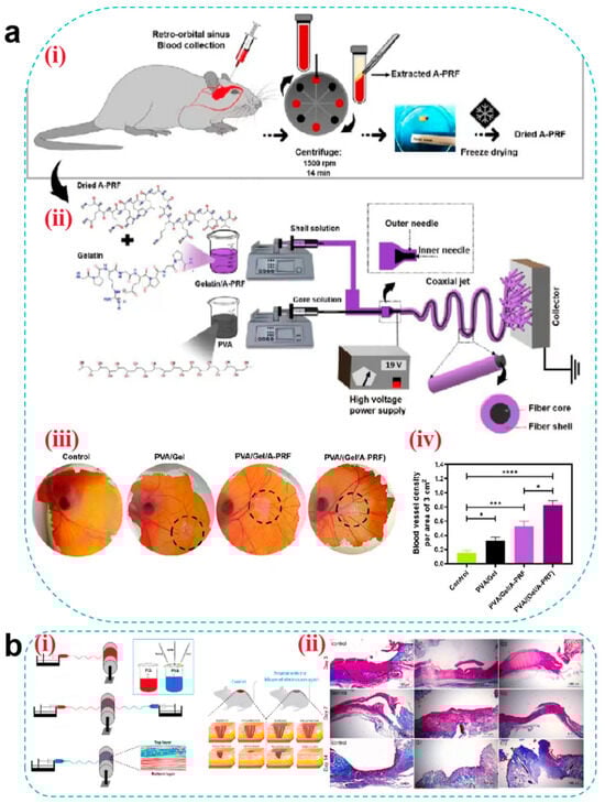Pharmaceutics 17 00976 g010