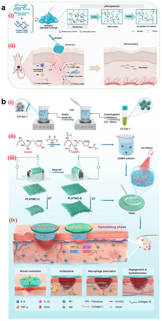 Pharmaceutics 17 00976 g011