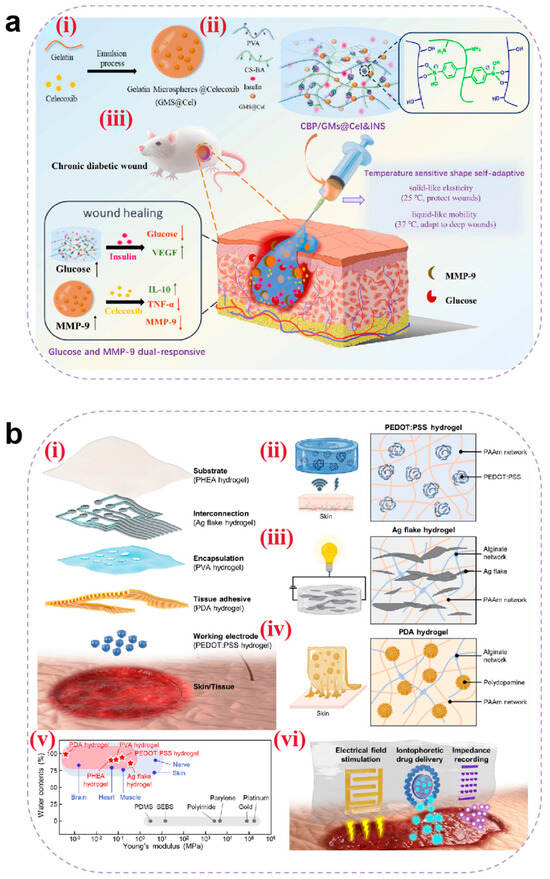 Pharmaceutics 17 00976 g012