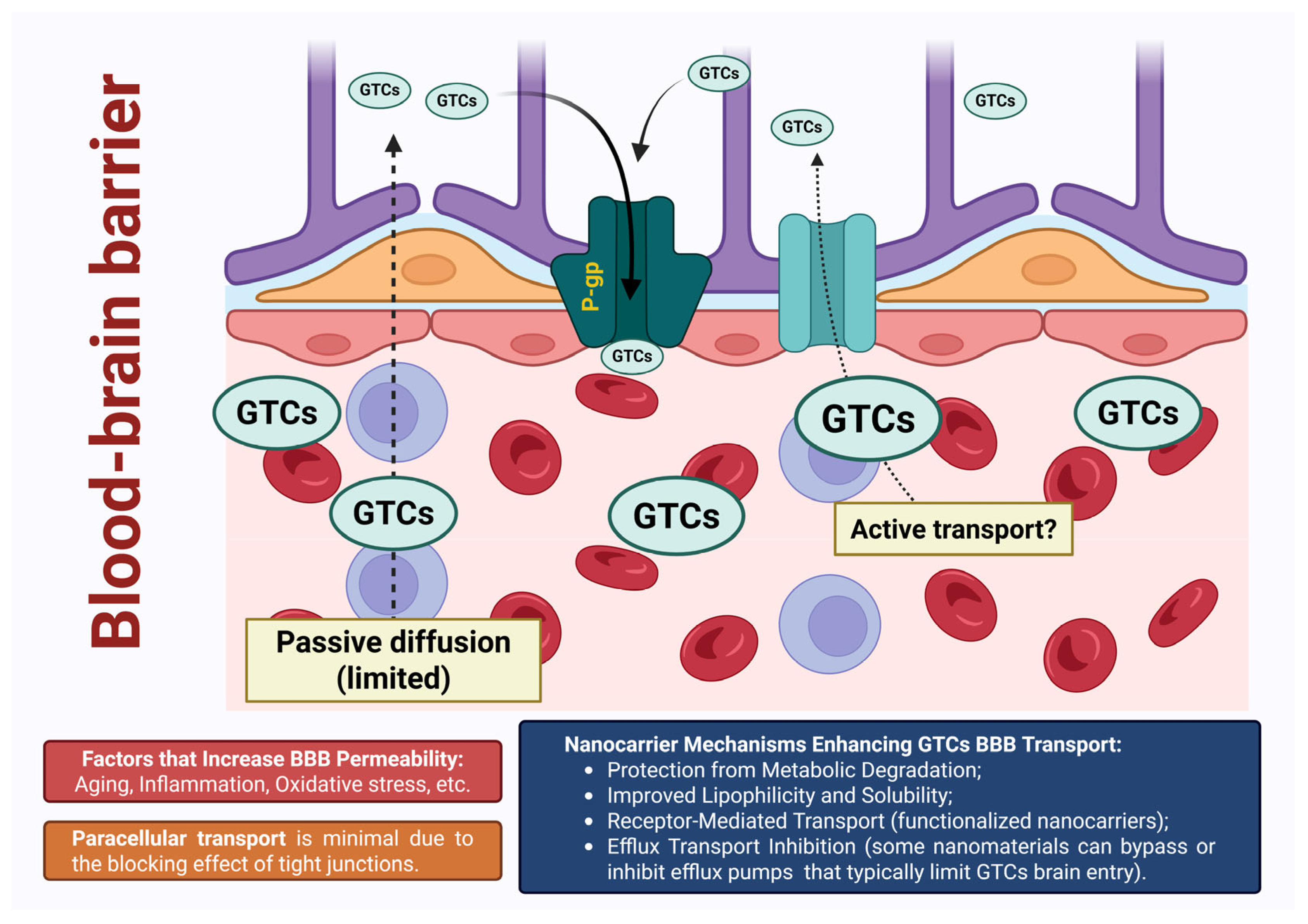 Pharmaceutics 17 00985 g002