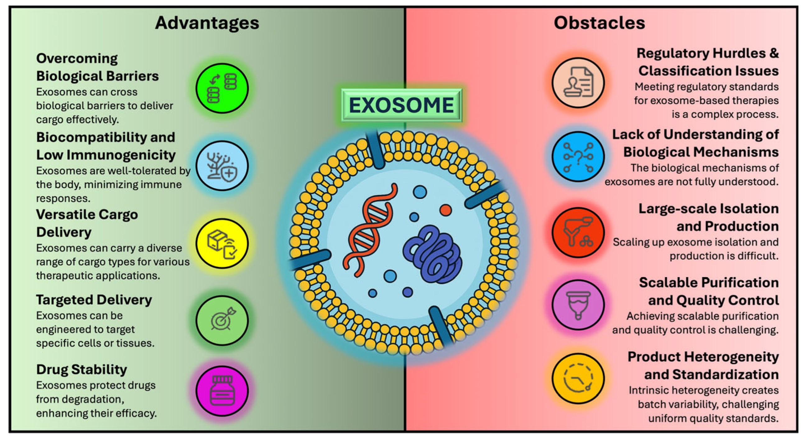 Pharmaceutics 17 00990 g001