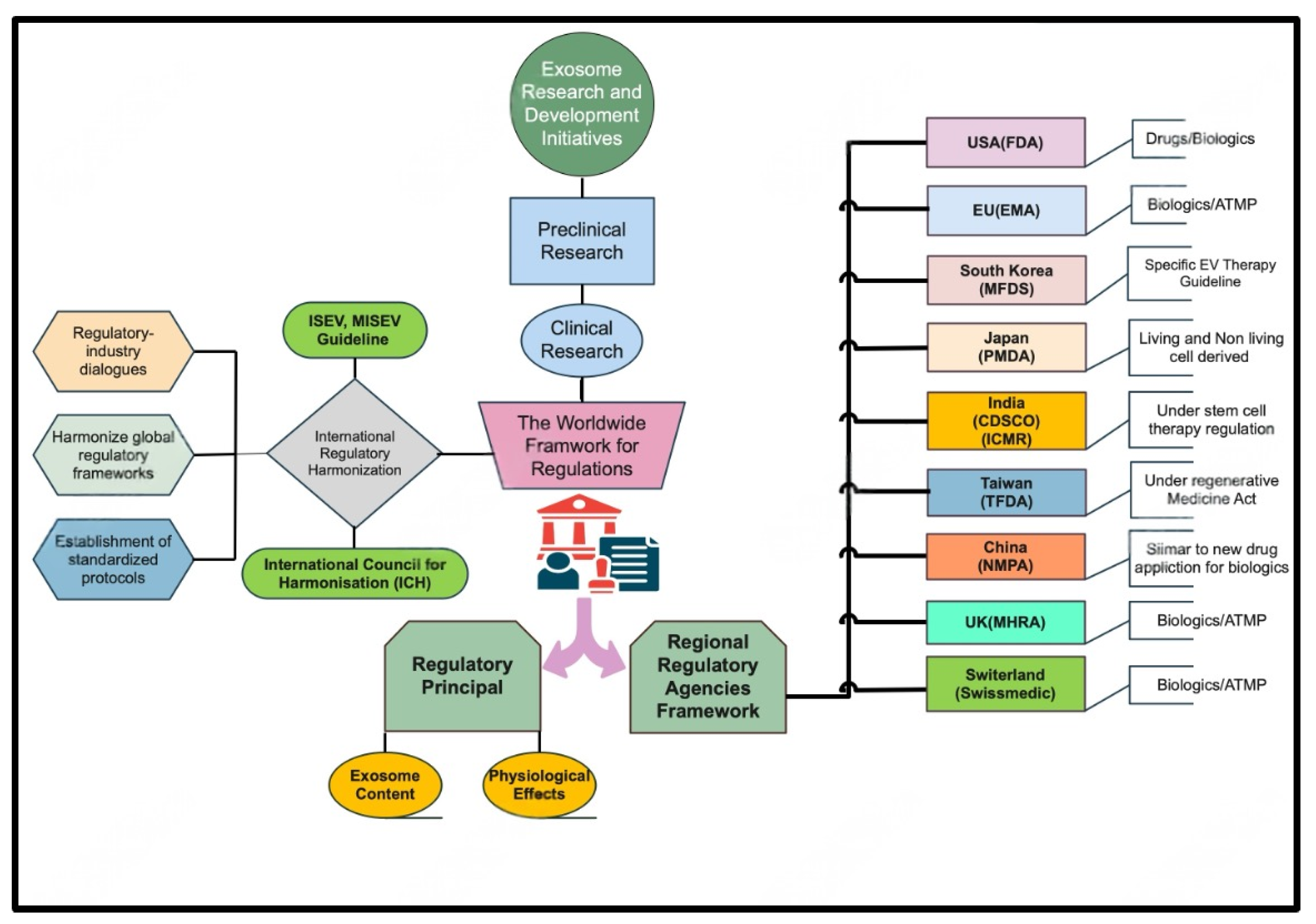 Pharmaceutics 17 00990 g003