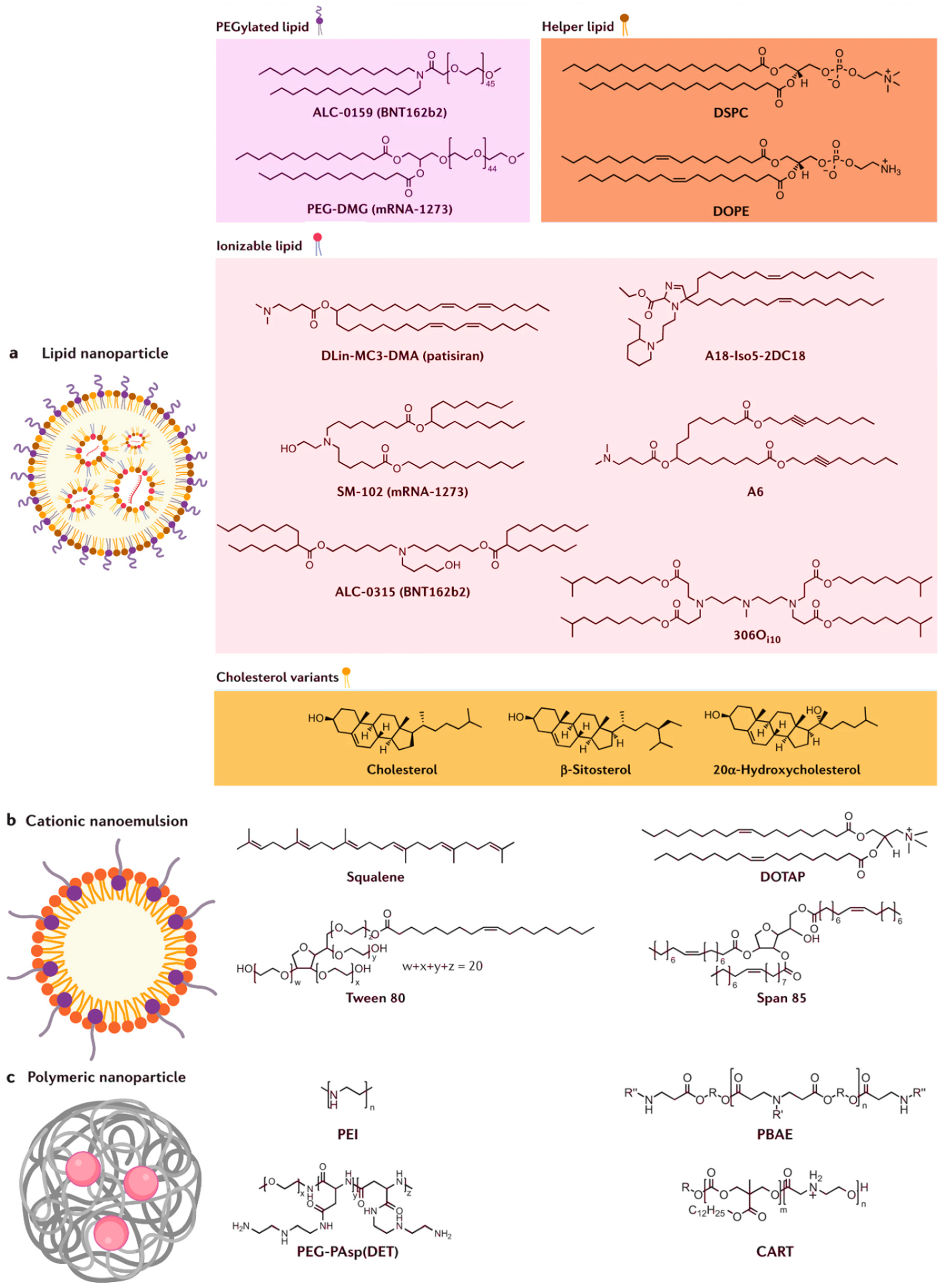 Pharmaceutics 17 00992 g002 Pharmaceutics 17 00992 g002