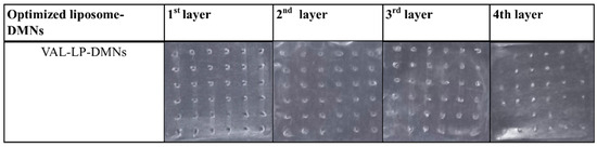 Pharmaceutics 17 01001 g001