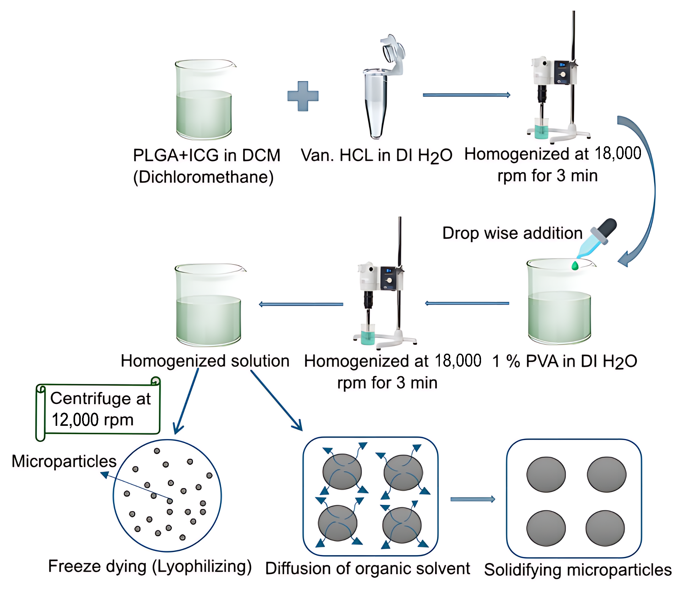 Pharmaceutics 17 01007 g001 Pharmaceutics 17 01007 g001