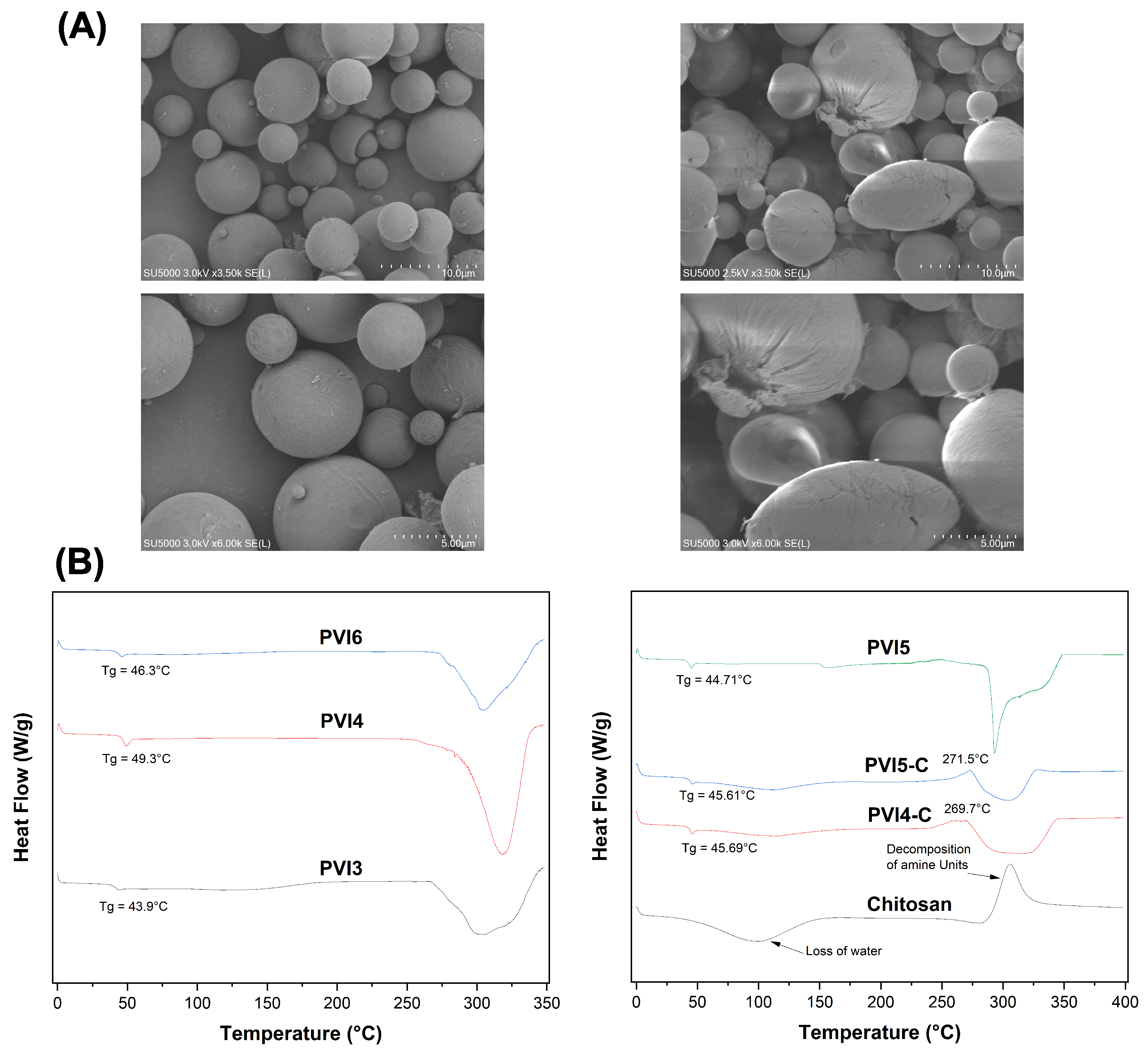 Pharmaceutics 17 01007 g005 Pharmaceutics 17 01007 g005