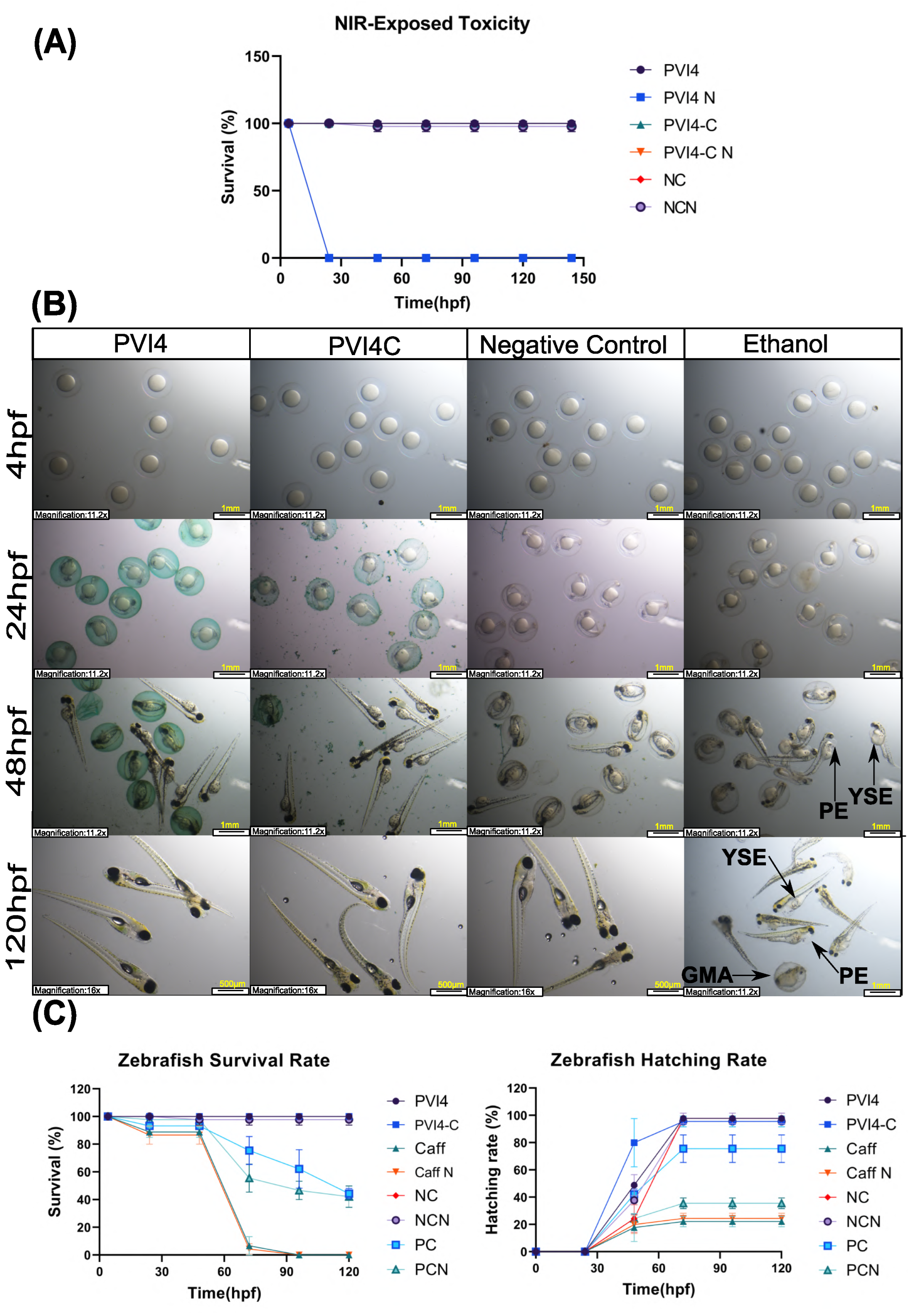 Pharmaceutics 17 01007 g013 Pharmaceutics 17 01007 g013