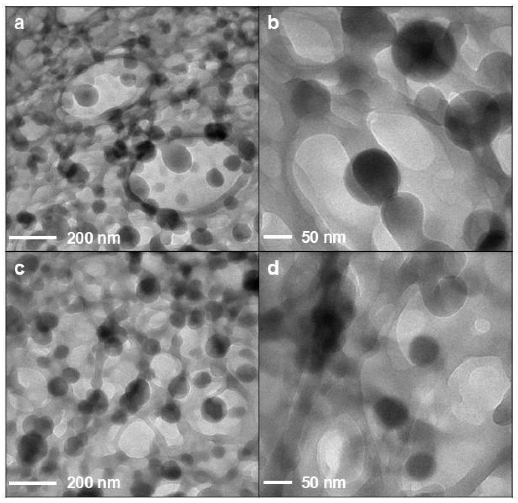 Pharmaceutics 17 01016 g003