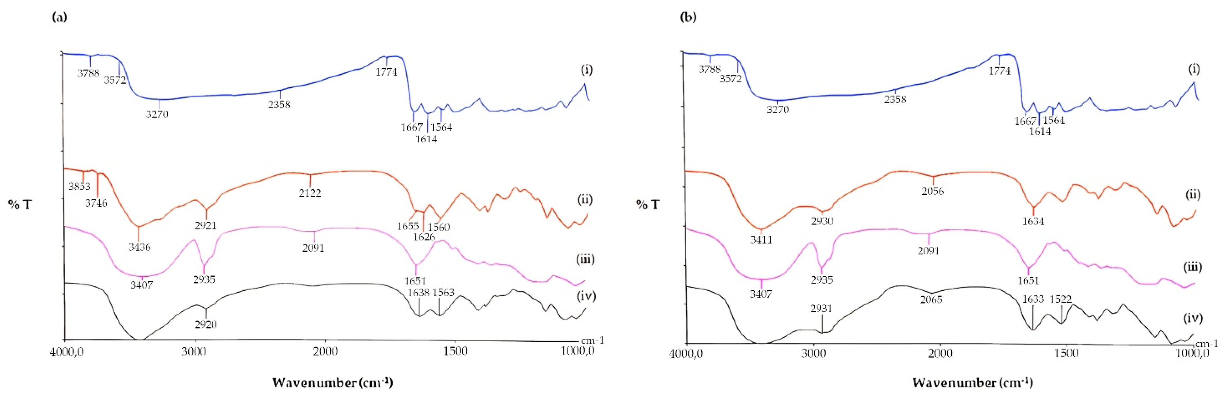 Pharmaceutics 17 01016 g004